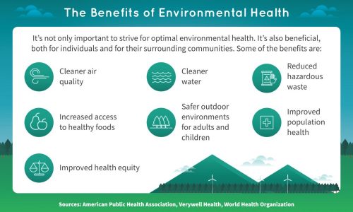 Environmental Health: The impact of environmental factors on health