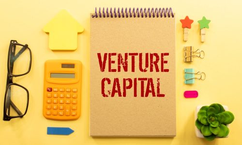 Inside the World of Venture Capital: Trends, Triumphs, and Turbulence