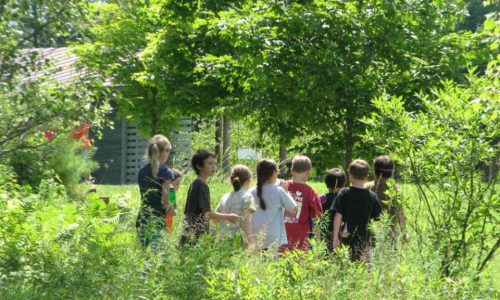Nature Play in Primary Education: Teachers Seek More Support