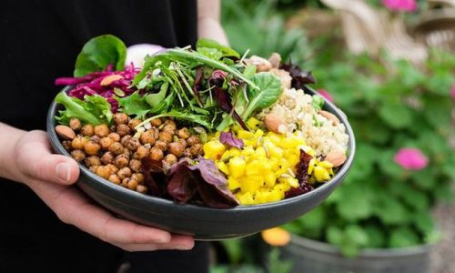 The Power of Plant-Based Diets: A Sustainable Approach to Health
